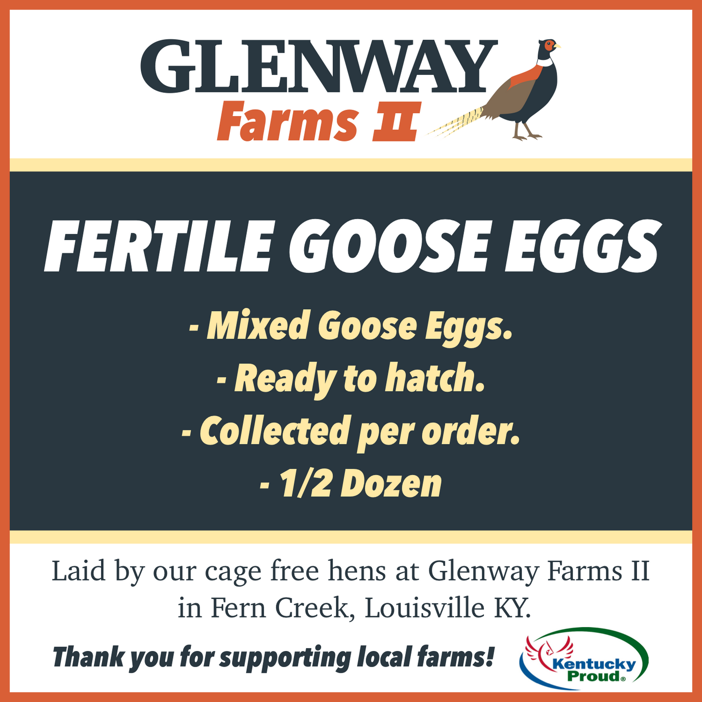 Fertile Mixed Goose Eggs - Half Dozen