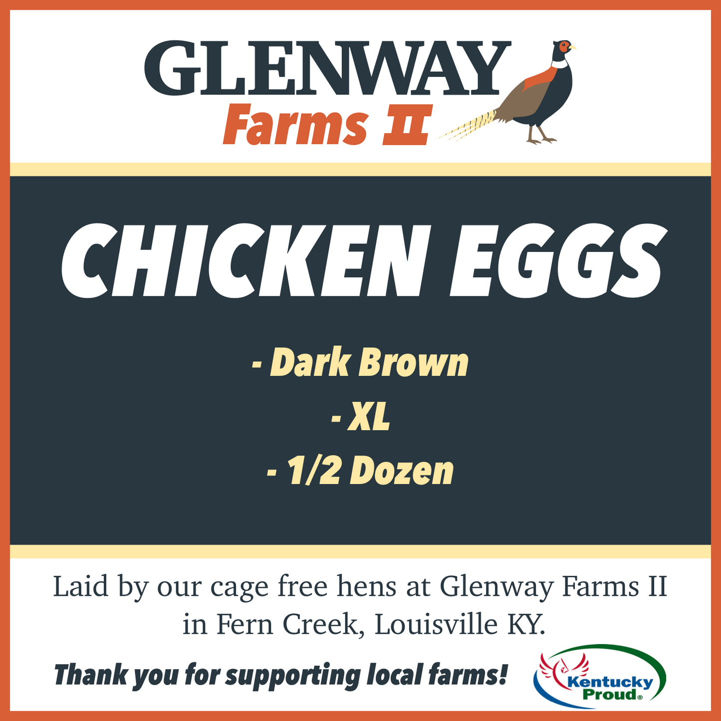 Chicken Eggs - XL Dark Brown (Half Doz.)