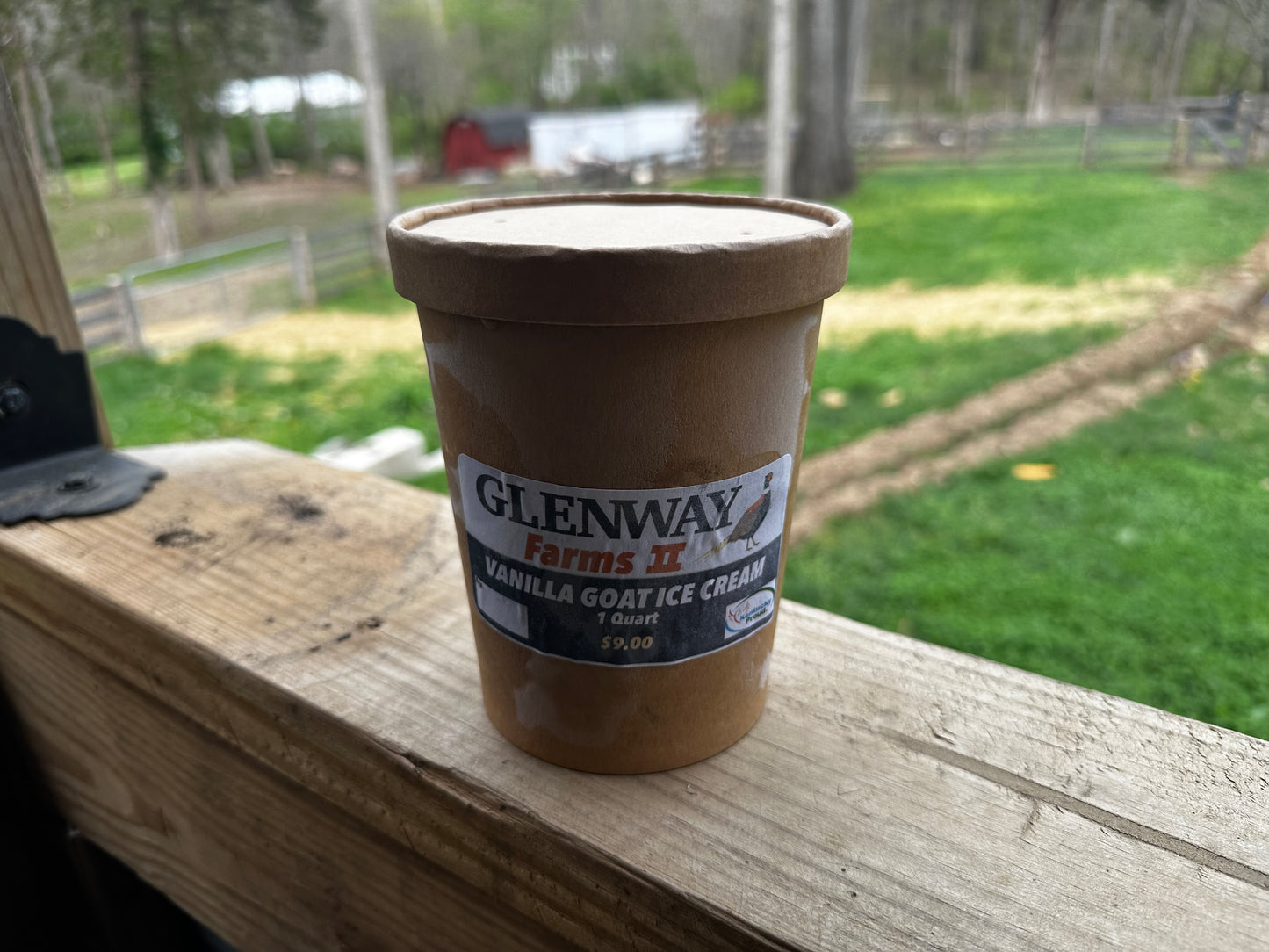 Vanilla Goat Ice Cream