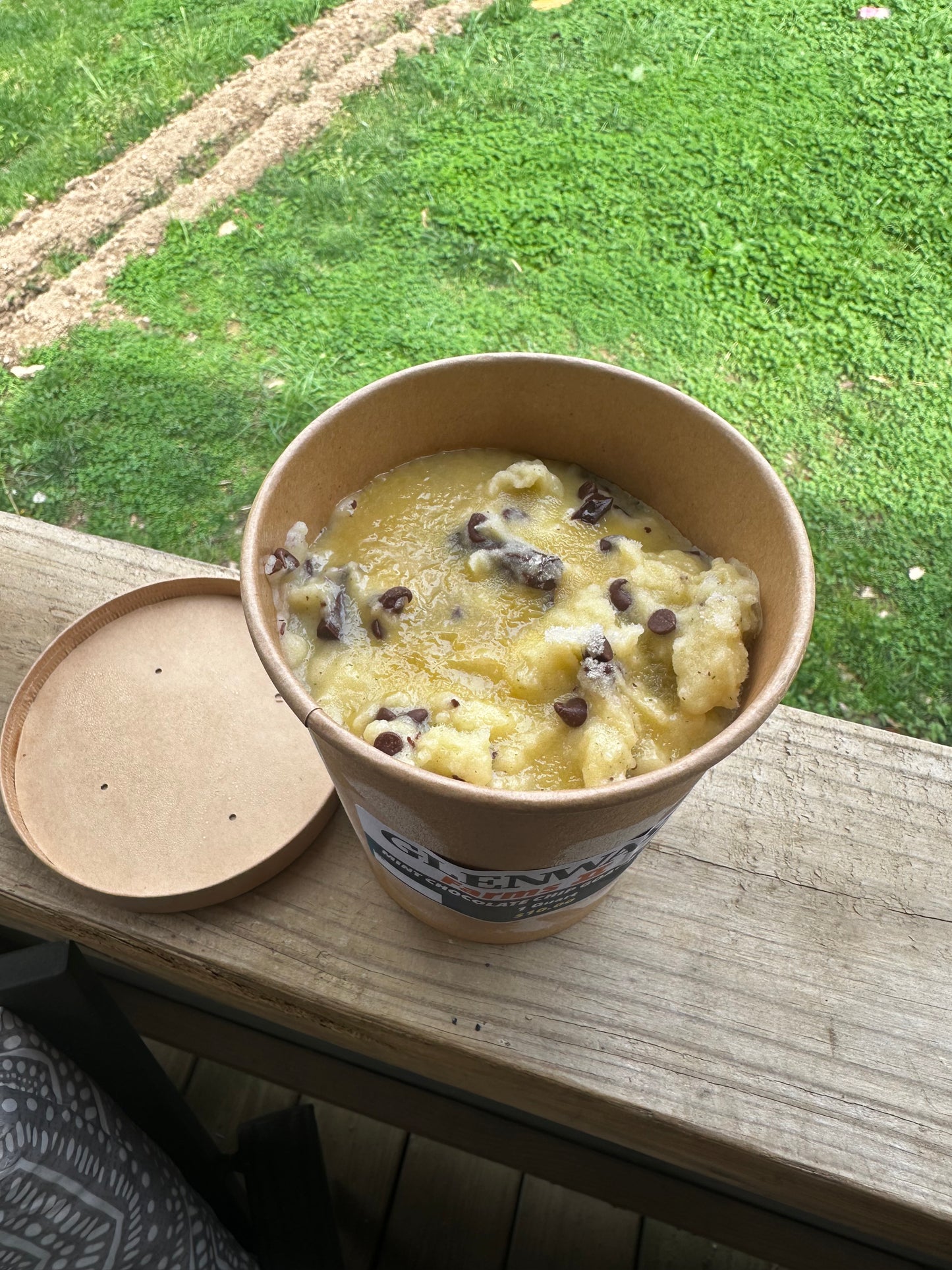 Mint Chocolate Chip Goat Ice Cream