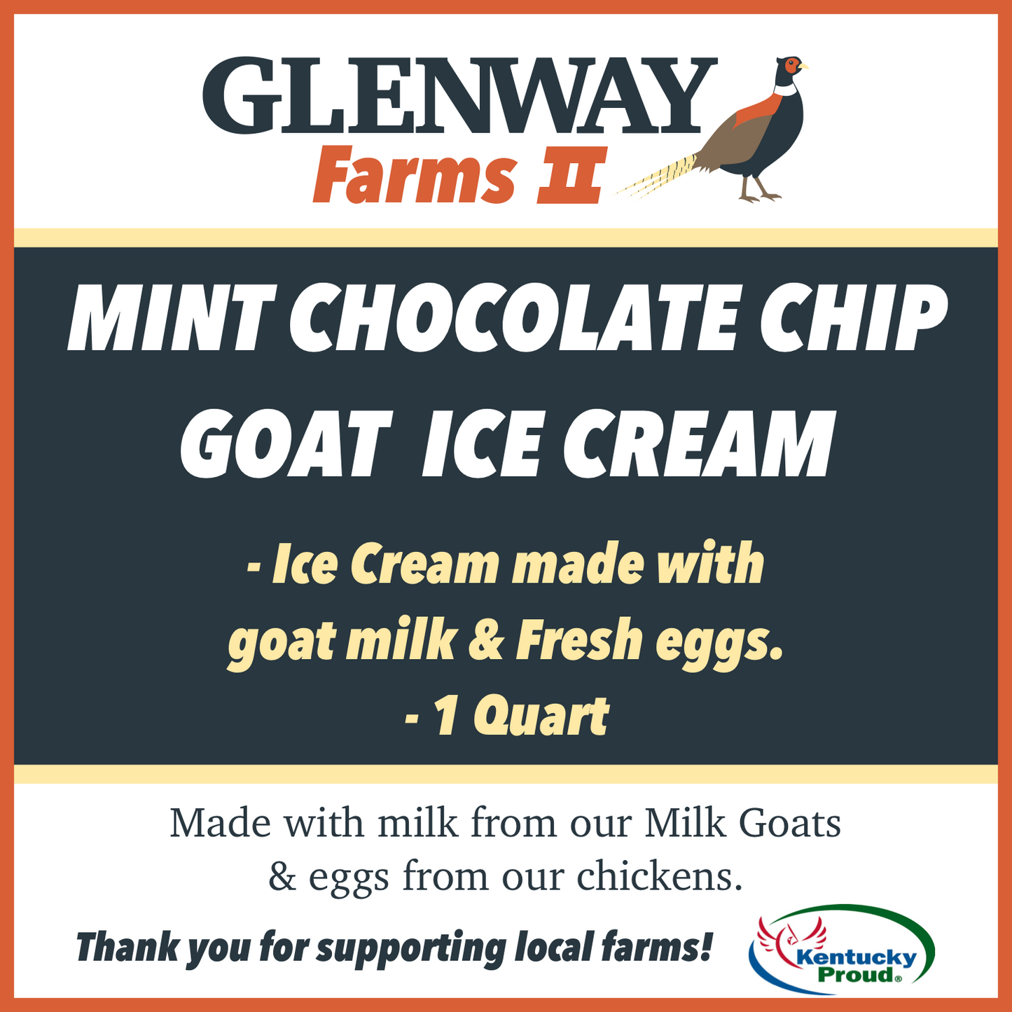 Mint Chocolate Chip Goat Ice Cream