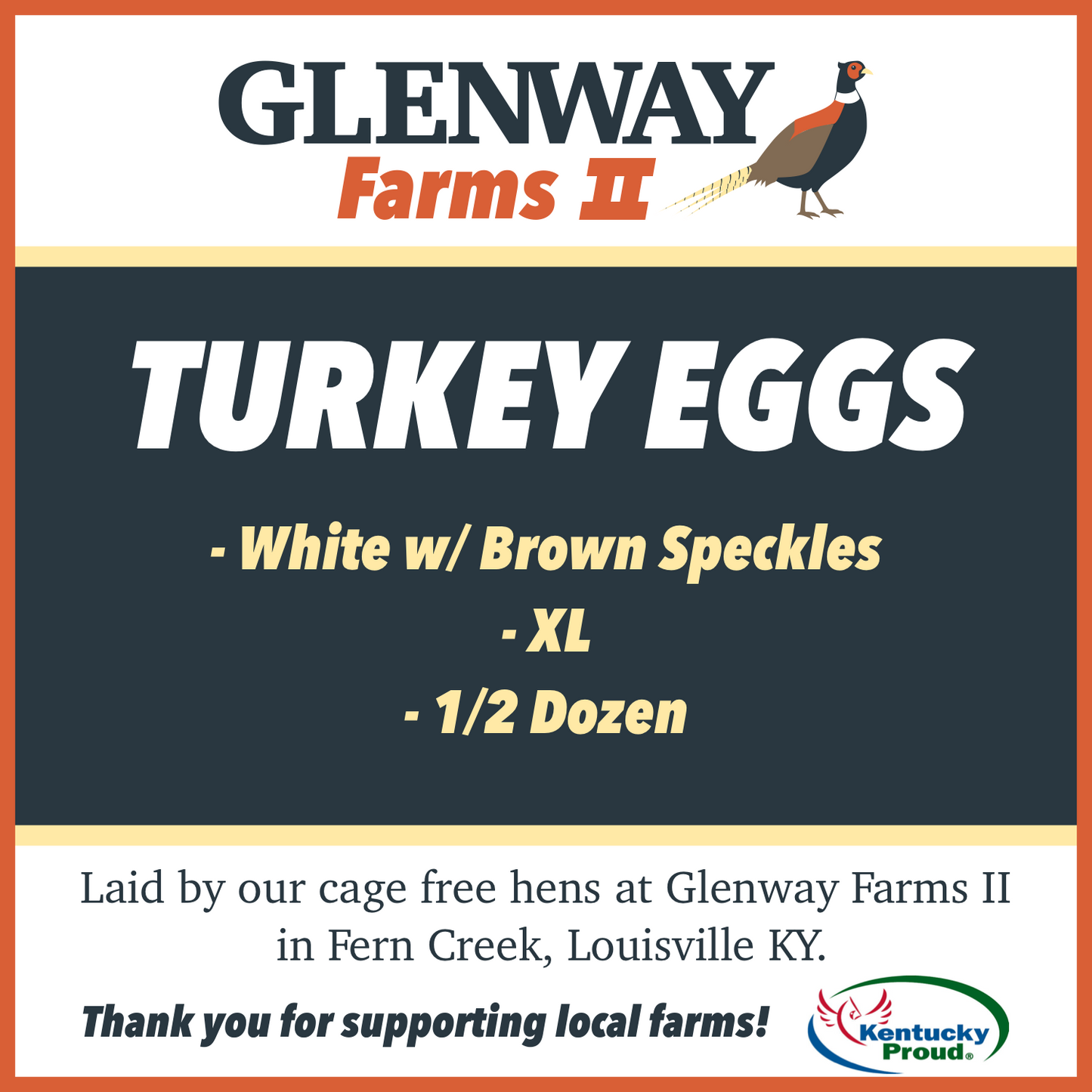 Turkey Eggs - Half Dozen