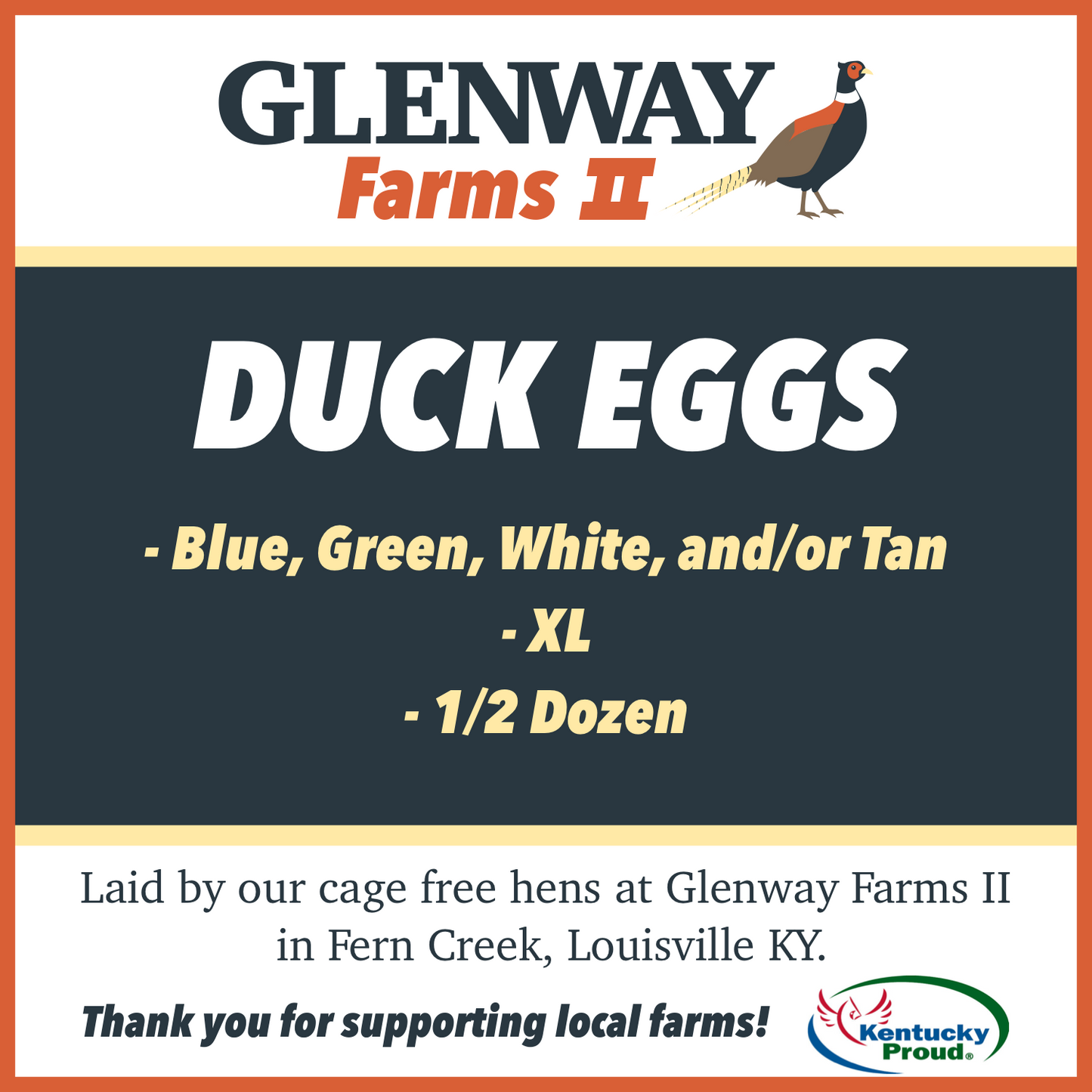 Duck Eggs - Half Dozen