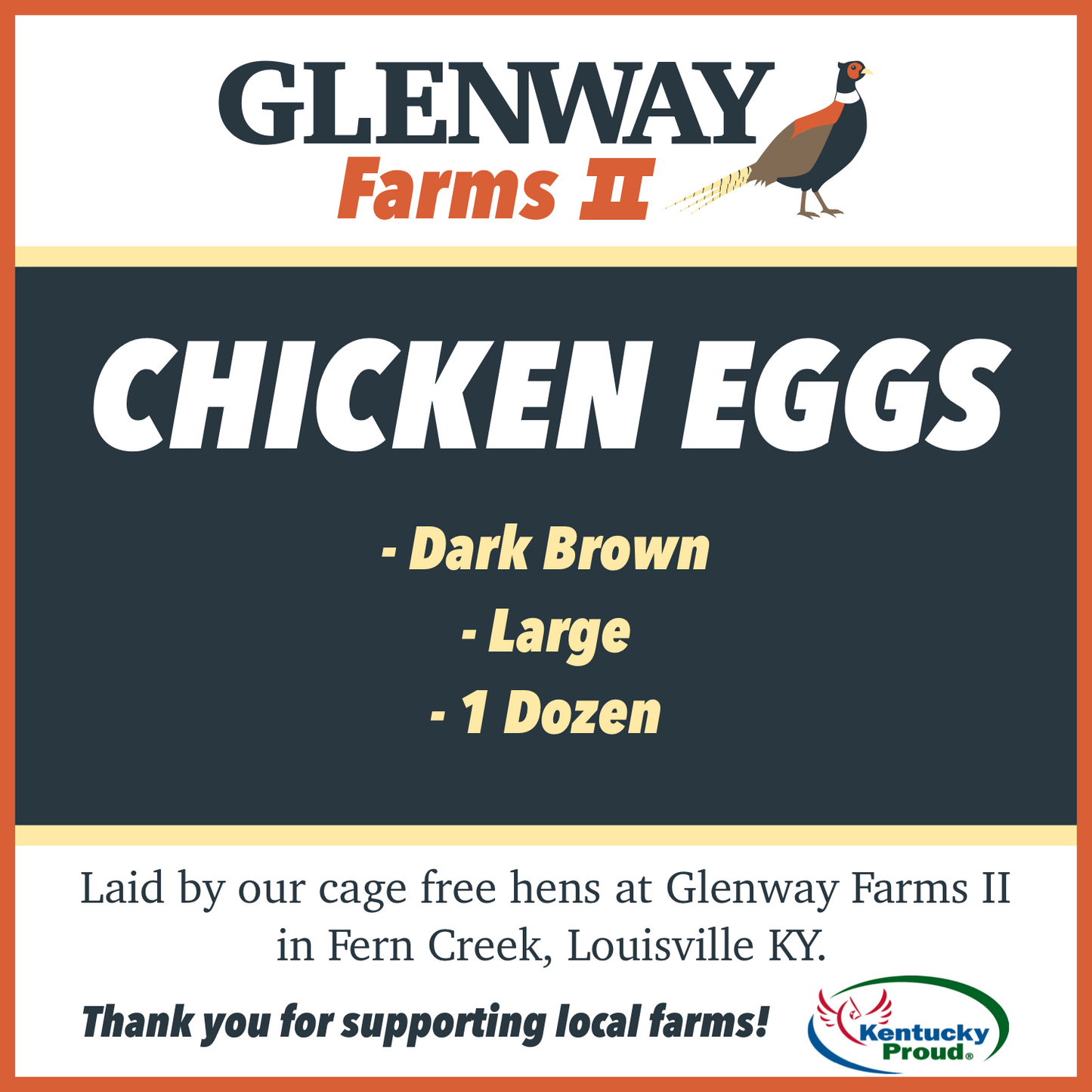Chicken Eggs - Lg. Dark Brown