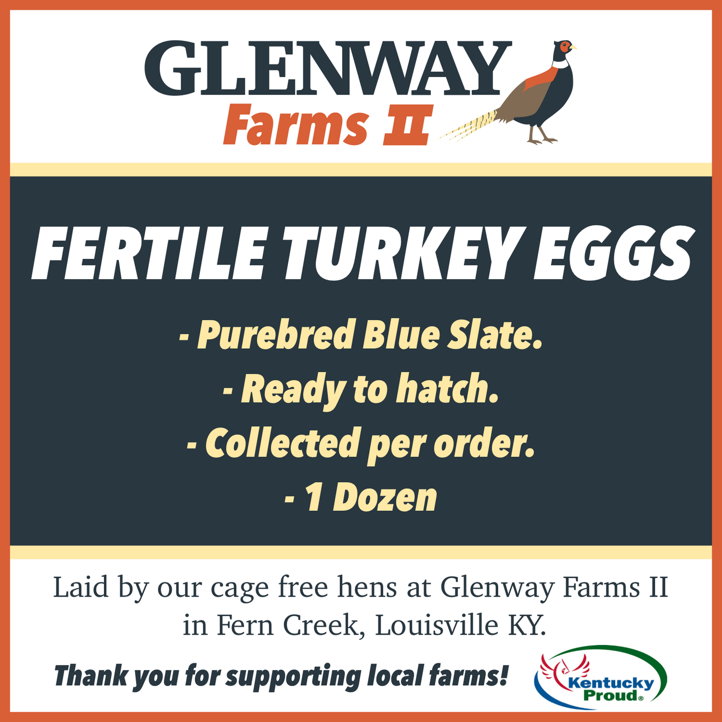 Fertile Blue Slate Turkey Eggs - Half Dozen