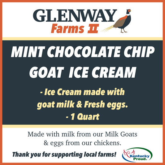 Mint Chocolate Chip Goat Ice Cream