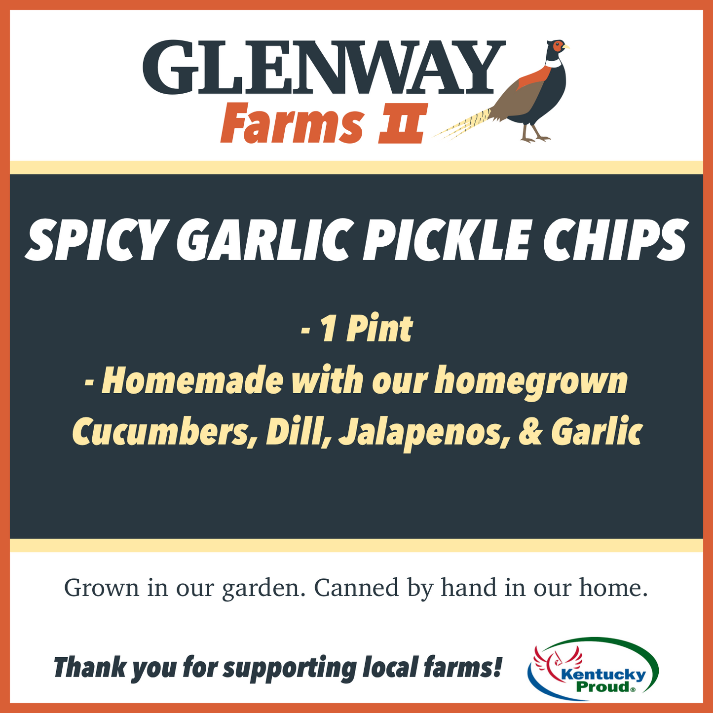 Spicy Garlic Pickle Chips - 16 ounce