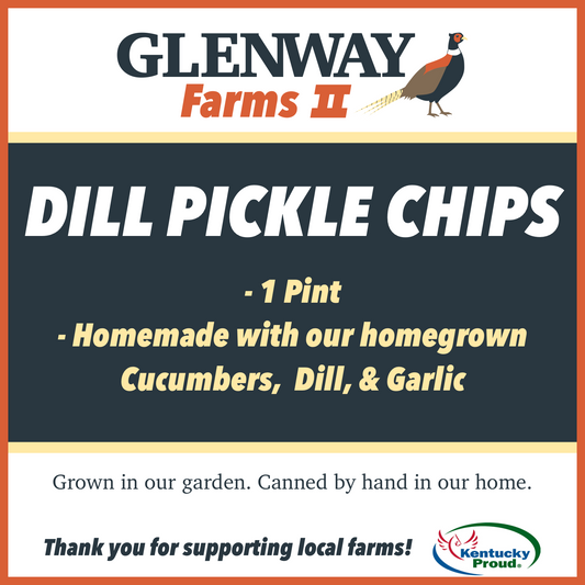 Dill Pickles Chips - 16 ounce