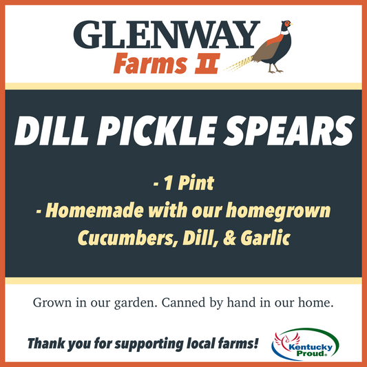 Dill pickle spears - 16 ounces